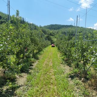 강병학님의 농사, 무엇이든 물어보세요! · 참여글 작성글 사진