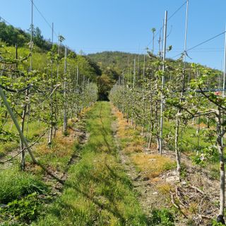 강병학님의 농사, 무엇이든 물어보세요! · 참여글 작성글 사진