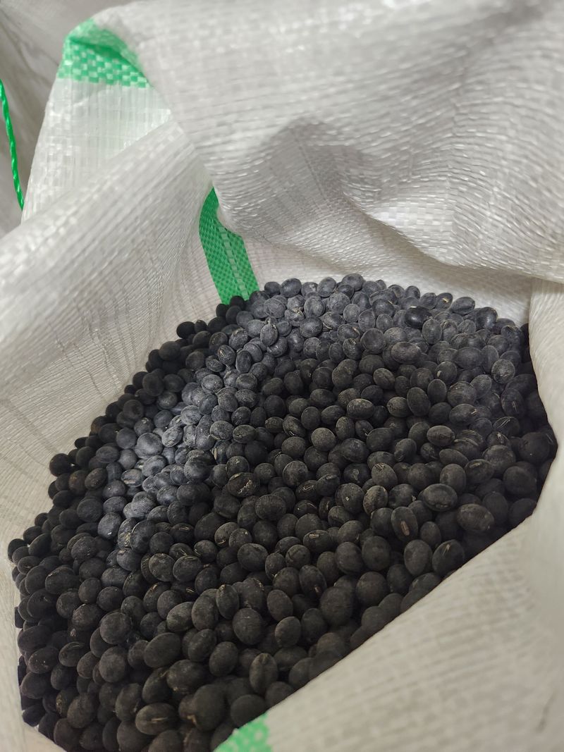 장안님의 장터 판매 상품 [서리태8kg,들깨6kg] 첨부 사진