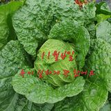 팜모닝 2024년 농사 계획은?·참여글 게시글 이미지