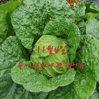 이소영님의 2024년 농사 계획은? · 참여글 작성글 사진