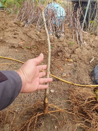 오대원님의 작성글 사진