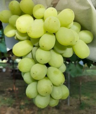 오대원님의 작성글 사진