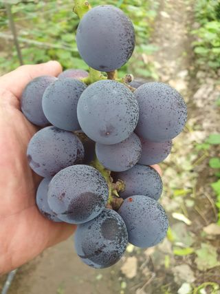 오대원님의 작성글 사진