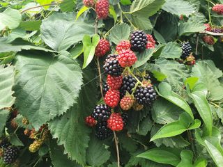 오대원님의 작성글 사진