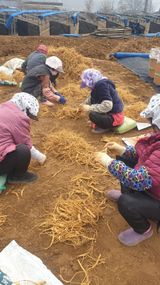 팜모닝 자유주제·사진전 게시글 이미지