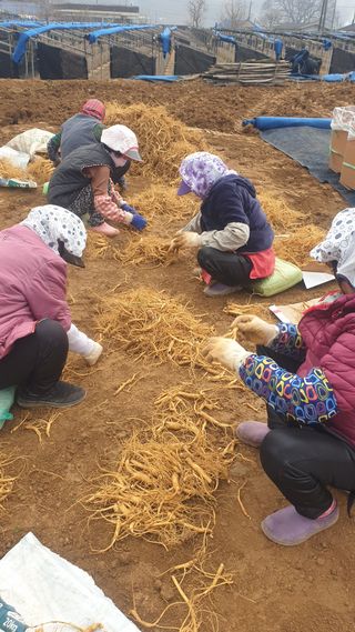 좋은정보감사합니다님의 자유주제 · 사진전 작성글 사진