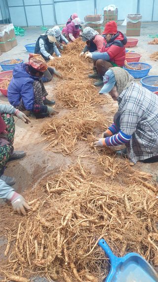 좋은정보감사합니다님의 자유주제 · 사진전 작성글 사진