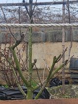 팜모닝 농사, 무엇이든 물어보세요!·참여글 게시글 이미지