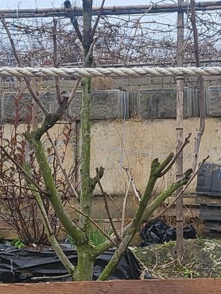 이대형님의 농사, 무엇이든 물어보세요! · 참여글 작성글 사진