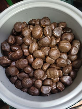 다소농원님의 자유주제 · 자유게시판 작성글 사진