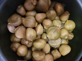 다소농원님의 자유주제 · 자유게시판 작성글 사진