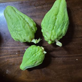 knlee님의 농사, 무엇이든 물어보세요! · 참여글 작성글 사진