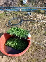 팜모닝 2024년 농사 계획은?·참여글 게시글 이미지