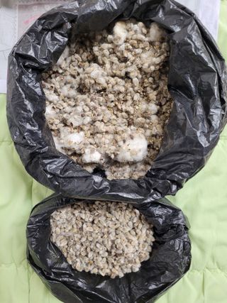 정찬영님의 2024년 농사 계획은? · 참여글 작성글 사진