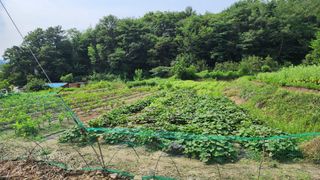 지안님의 2024년 농사 계획은? · 참여글 작성글 사진