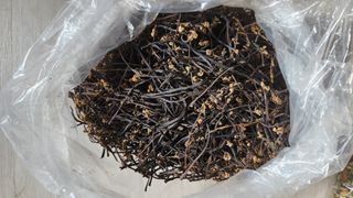 지안님의 2024년 농사 계획은? · 참여글 작성글 사진