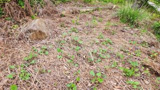 지안님의 2024년 농사 계획은? · 참여글 작성글 사진