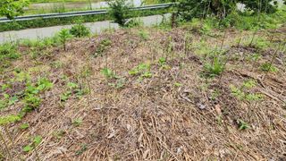 지안님의 2024년 농사 계획은? · 참여글 작성글 사진