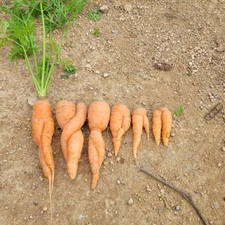 이창화님의 기타작물 · 자유게시판 작성글 사진