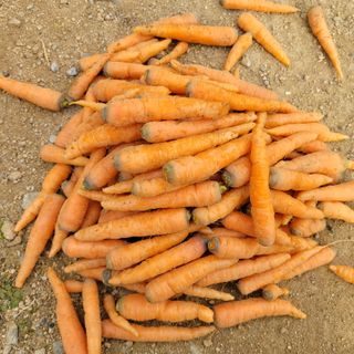 이창화님의 기타작물 · 자유게시판 작성글 사진