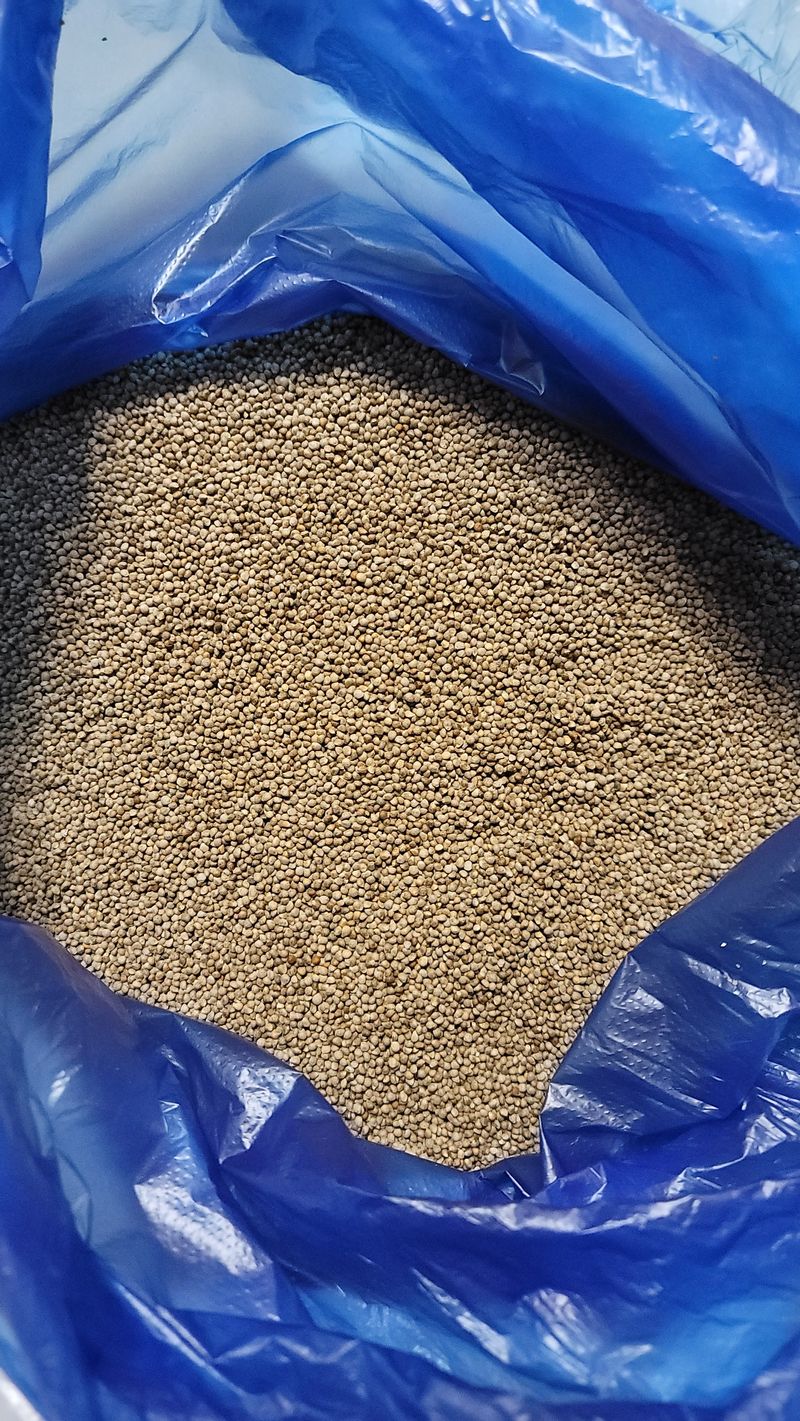 장터 상품 [들깨80킬로] 썸네일