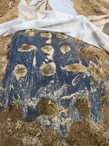 팜모닝 자유주제·자유게시판 게시글 이미지