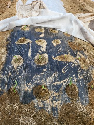 이서울비님의 자유주제 · 자유게시판 작성글 사진