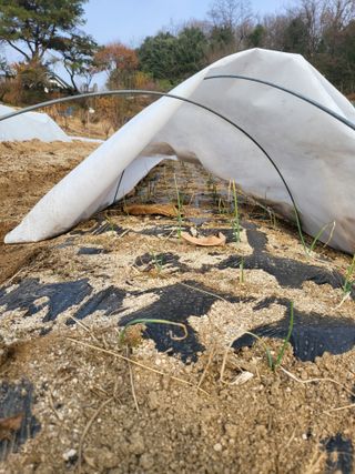 이서울비님의 자유주제 · 자유게시판 작성글 사진