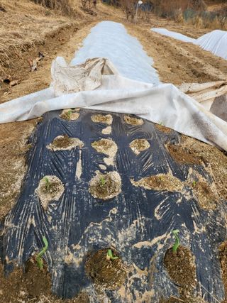 이서울비님의 자유주제 · 자유게시판 작성글 사진