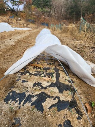 이서울비님의 자유주제 · 자유게시판 작성글 사진