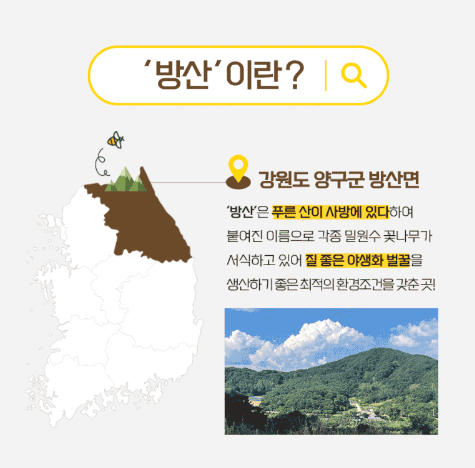 손정훈님의 장터 판매 상품 [[현우양봉달꿀]청정지역 양구 방산 천연벌꿀 2.4kg,1.2kg] 첨부 사진