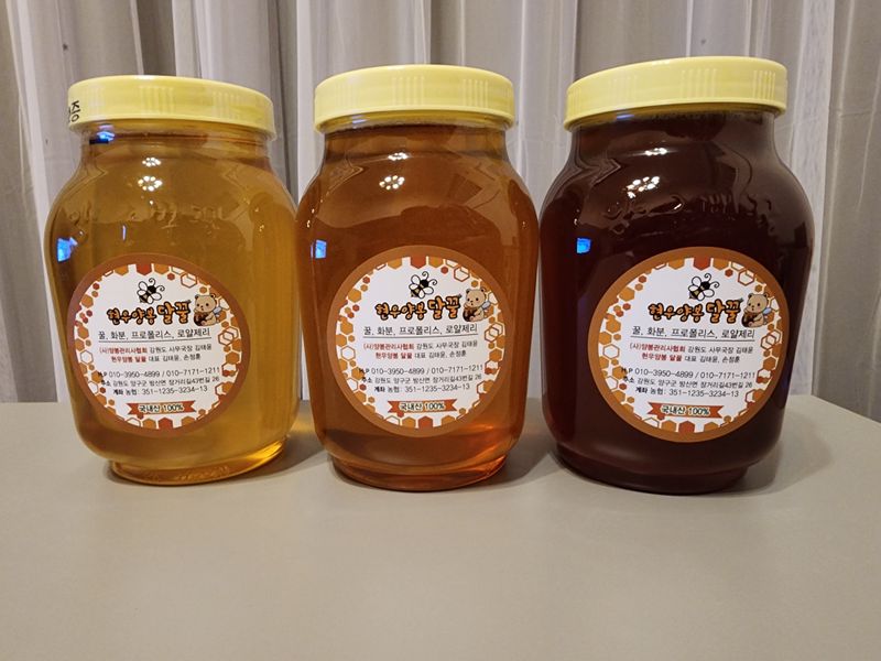 손정훈님의 장터 판매 상품 [[현우양봉달꿀]청정지역 양구 방산 천연벌꿀 2.4kg,1.2kg] 첨부 사진