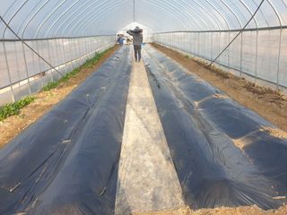 노경자님의 2024년 농사 계획은? · 참여글 작성글 사진