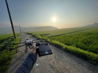 태평양드론님의 벼 · 영농일지 작성글 사진