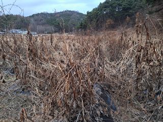 김종덕님의 2024년 농사 계획은? · 참여글 작성글 사진