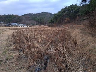 김종덕님의 2024년 농사 계획은? · 참여글 작성글 사진