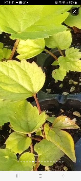 김종덕님의 2024년 농사 계획은? · 참여글 작성글 사진