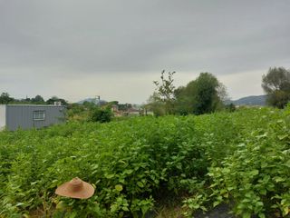 임창빈 님의 2024년 농사 계획은? · 참여글 작성글 사진