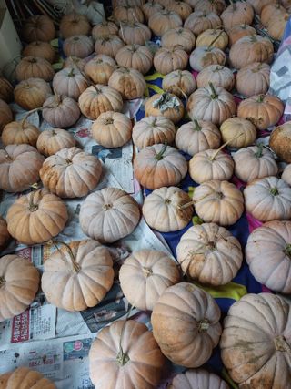 임창빈 님의 2024년 농사 계획은? · 참여글 작성글 사진