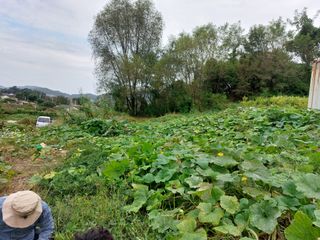임창빈 님의 2024년 농사 계획은? · 참여글 작성글 사진