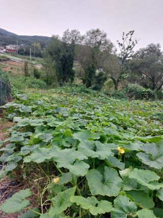 임창빈 님의 2024년 농사 계획은? · 참여글 작성글 사진
