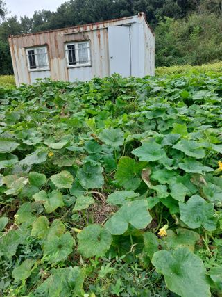 임창빈 님의 2024년 농사 계획은? · 참여글 작성글 사진