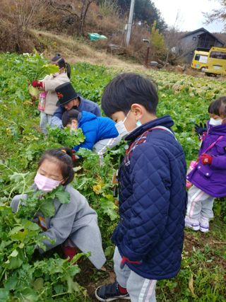 공주카페무릉농원님의 2024년 농사 계획은? · 참여글 작성글 사진