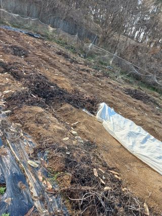 진윤자님의 2024년 농사 계획은? · 참여글 작성글 사진