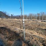 팜모닝 2024년 농사 계획은?·참여글 게시글 이미지