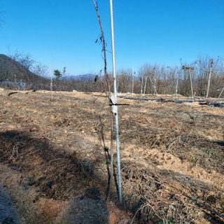 정길영님의 2024년 농사 계획은? · 참여글 작성글 사진