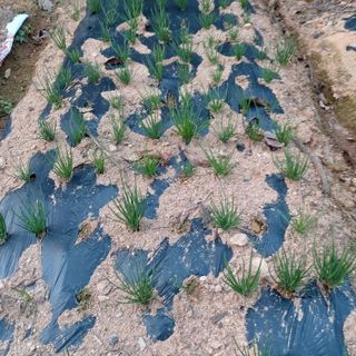 정길영님의 2024년 농사 계획은? · 참여글 작성글 사진