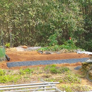 정길영님의 2024년 농사 계획은? · 참여글 작성글 사진