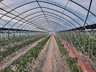 여주갑돌이님의 2024년 농사 계획은? · 참여글 작성글 사진